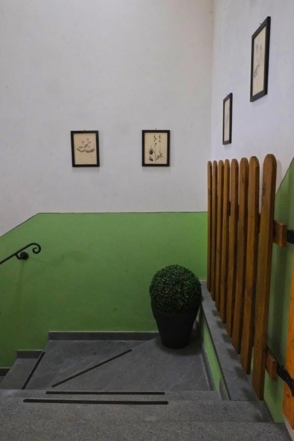 Ferienwohnung Casa Di Claudia Arnasco Exterior foto